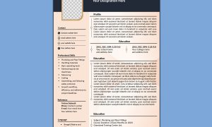Professional Resume (CV) (#0001)